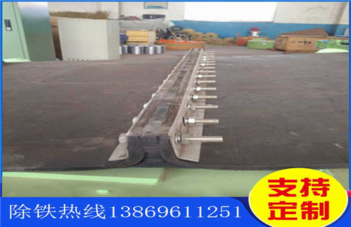 永磁花季传媒APP大全免费下载，青海永磁花季传媒APP大全免费下载距離皮帶高度_參數_內部磁塊安裝方法_青海永磁花季传媒APP大全免费下载距離皮帶高度規格型號價格 